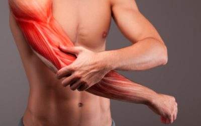 ¿Qué es la adherencia muscular y cómo ocurre?