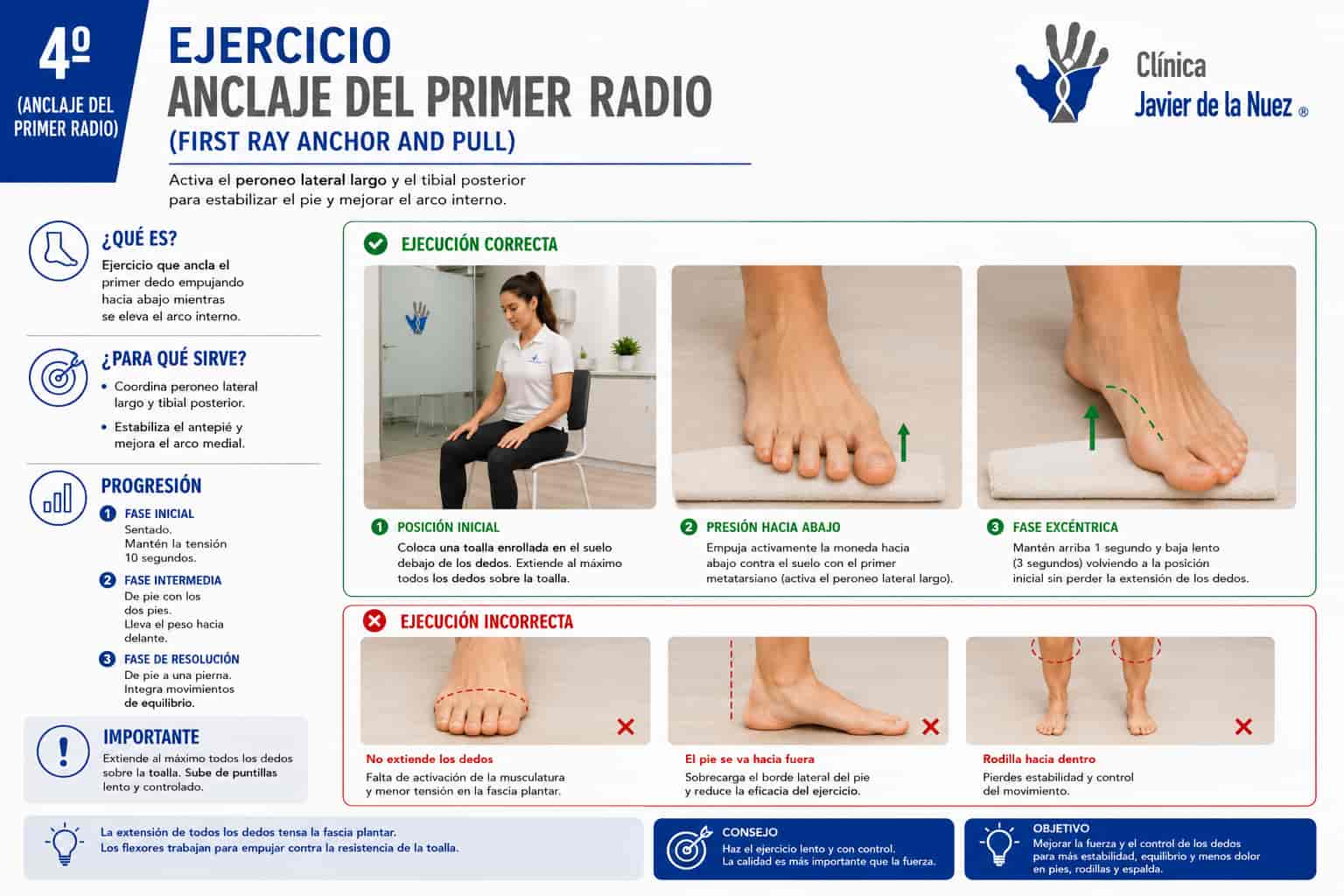 ejercicios anclaje del primer radio