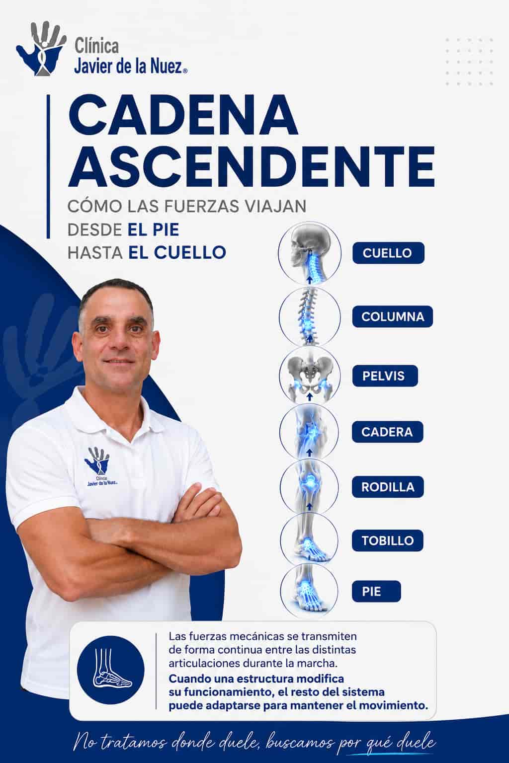 Infografía de la cadena ascendente: cómo las fuerzas viajan desde el pie hasta el cuello, con Javier de la Nuez, osteópata y fisioterapeuta